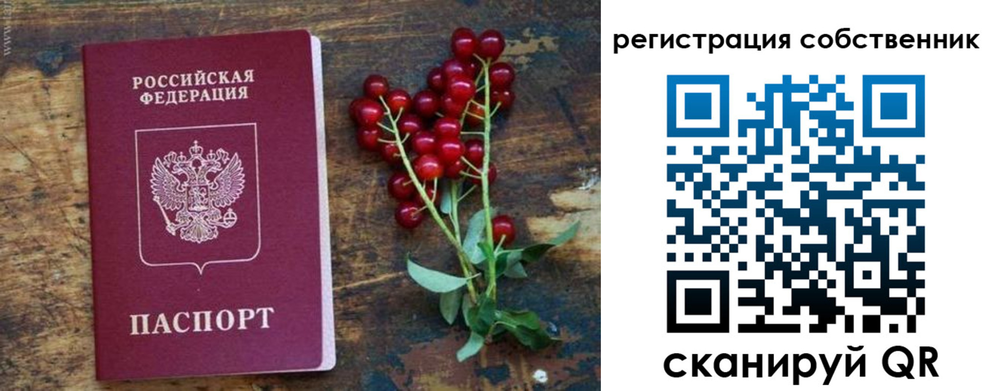 регистрация для дет. сада в Абдулино